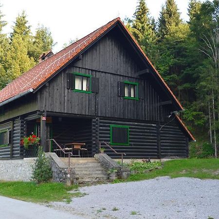 Brunarica Petric - Bela Krajina - Komarna Vas - Smucisce Gace - Semic Екстер'єр фото